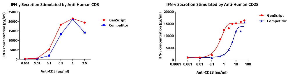 Interferon γ(IFN-γ) secretion