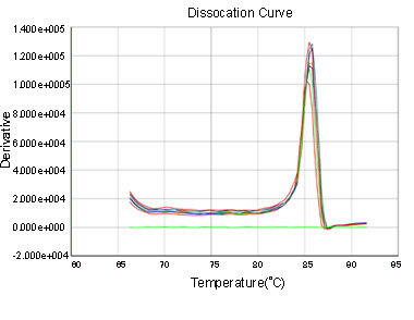 RT-PCR