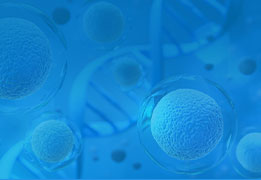 基因和细胞治疗方案