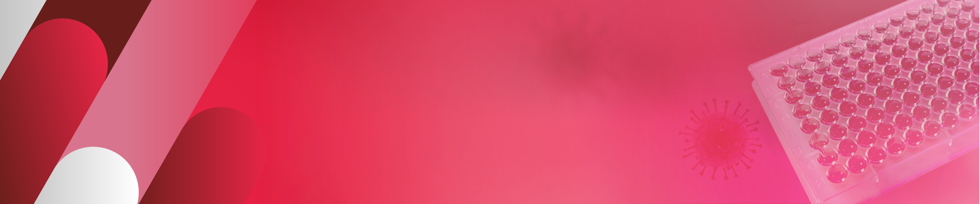 蛋白A ELISA试剂盒 蛋白A ELISA试剂盒