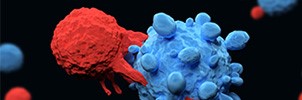 新型CAR-T将蝎毒添加到解决肿瘤异质性中，可有效对抗肿瘤 - 金斯瑞