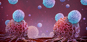 CRISPR基因编辑在肿瘤免疫治疗中的应用 - 金斯瑞