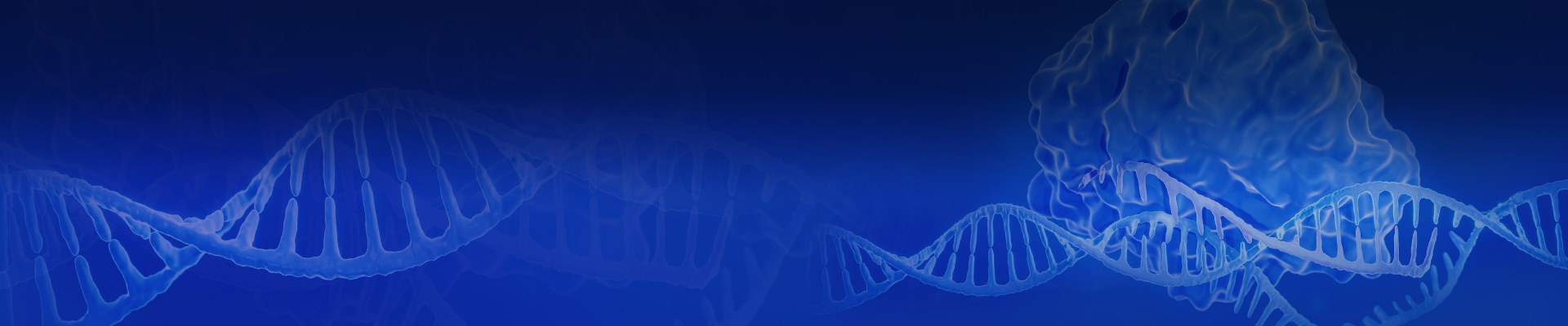 Cas9 Enzymes