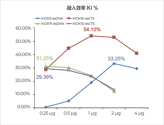 TRAC位点敲入效率高达54