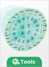 GenSmart™ Codon Optimization