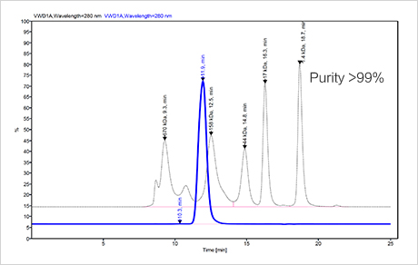 SEC-HPLC