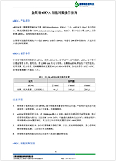 金斯瑞siRNA转染实验操作指南