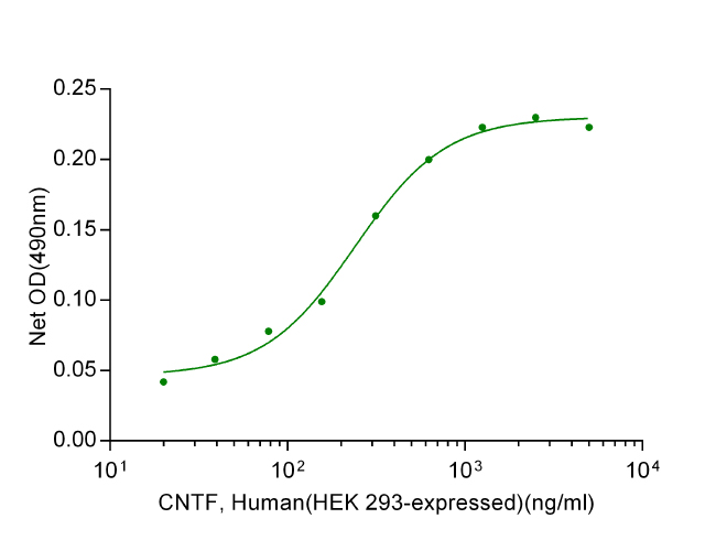 CNTF, Human(HEK 293-expressed)